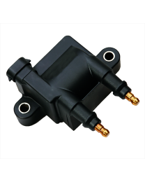 Mercury Pro XS 175 EFI (2018 and Newer) 4-Stroke Outboard Ignition Coil