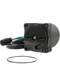 Honda BF250 (1997-2022) 4-Stroke 250HP Outboard Trim Tilt Motor