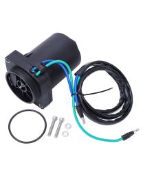 Mercury 125 DFI Optimax (2014 and Newer) 4-Stroke Outboard Tilt Trim Motor